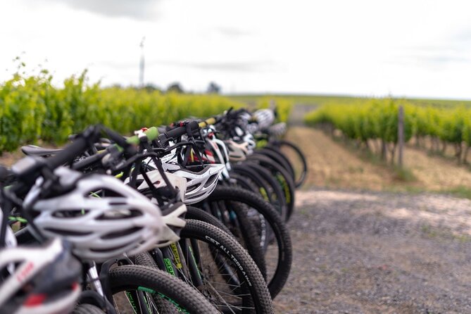 Stellenbosch Winelands Luxury Ebike Tour - Lunch Break Included