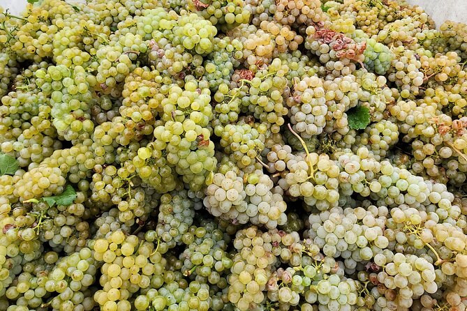 Summerland Private Wine Tour - Full Day - Common Questions