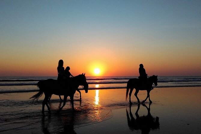 Sunset Horseback Riding in Puerto Plata - Flexible Cancellation Policy