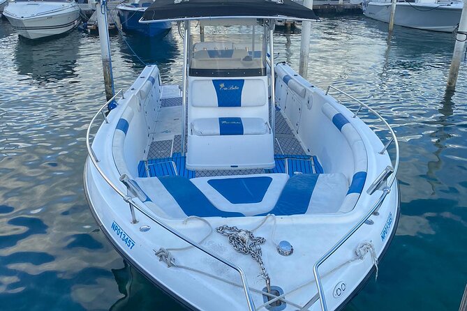 Swim With Pigs & Snorkeling With Turtles Cay Hopping in Bahamas - Common Questions
