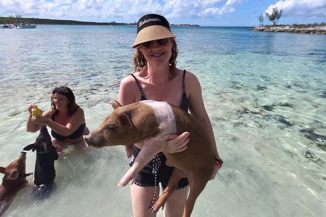 Swim With the Pigs and Explore Caves in Nassau - Common Questions