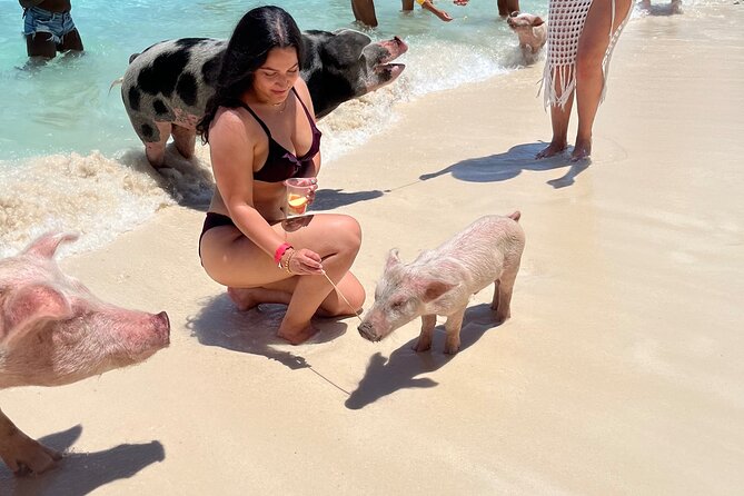 Swimming Pigs Tour on Rose Island - Common Questions