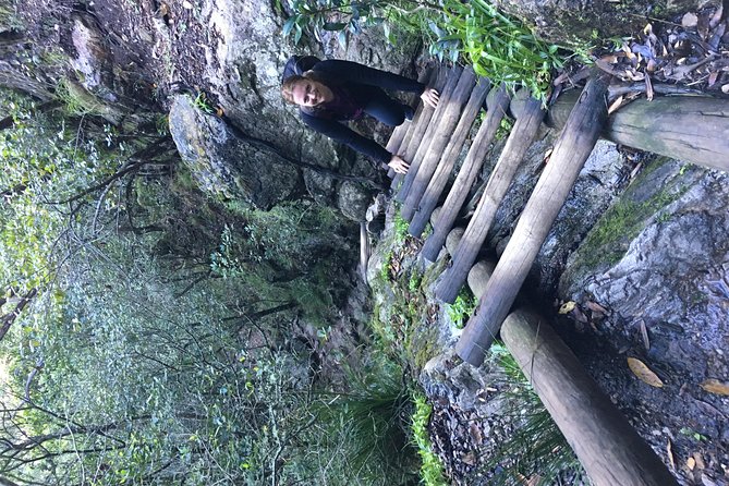 Table Mountain Hike (All Routes) - Private Tour - Route Options