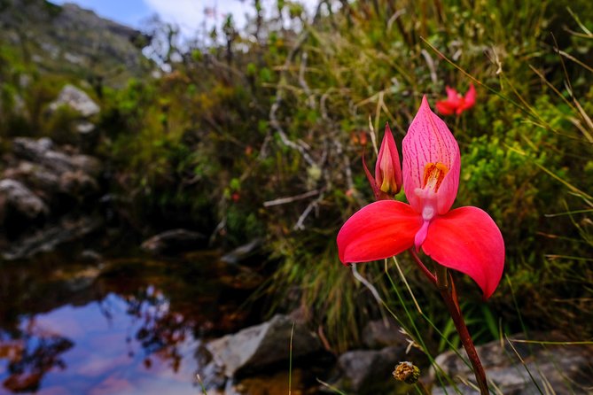 Table Mountain Summit Hike via Kasteelspoort in Cape Town - Cancellation Policy and Refunds