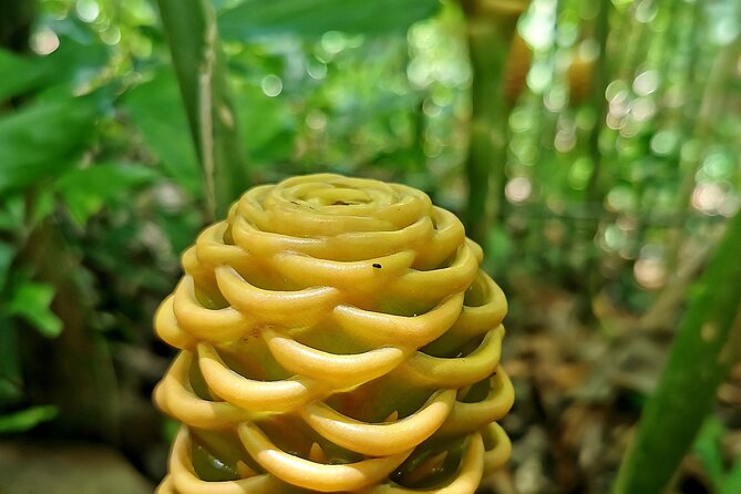 Taino Valley Tropical Park Puerto Plata Tubagua - Common Questions