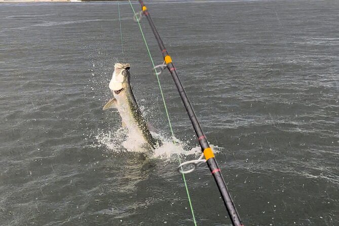 Tarpon & Snook Fishing Charter in Ft. Lauderdale - The Sum Up