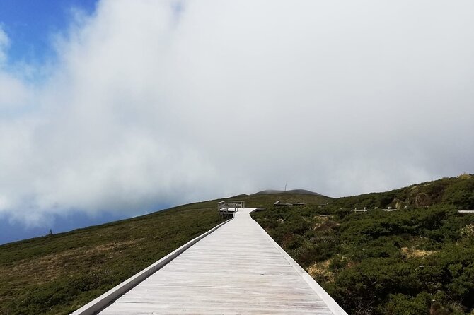 Terceira Island Full Day Tour - Customer Testimonials