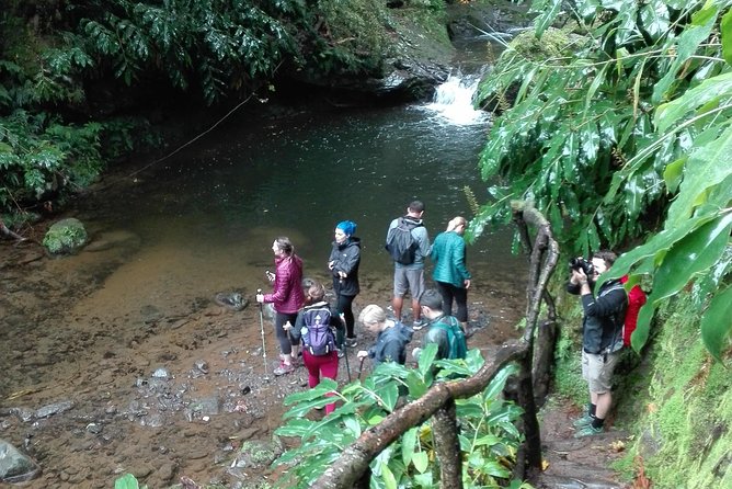 The Great Waterfalls Hiking Tour - The Sum Up