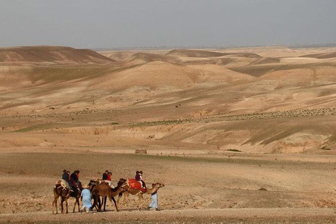 Traditional Dinner in Agafay Dessert and Camel Ride - Booking and Cancellation Policy