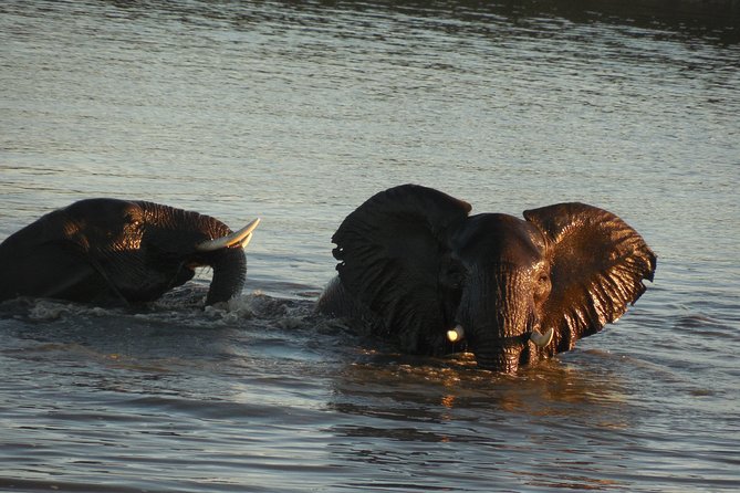 Two Days, One Night Tour: Blyde River to Kruger National Park - Tour Itinerary