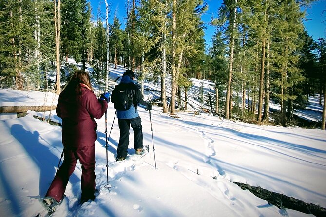 Unforgettable Snowshoe Adventure in the Colorado Rockies - Questions and Contact Information