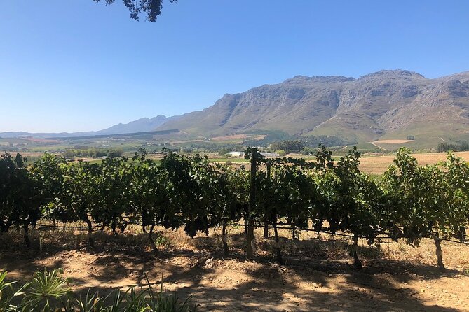 Vine Hopper: Hop-On Hop-Off Wine Tour - Northern Route - Directions