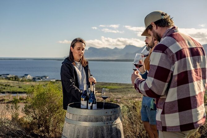 Vineyard Safari and Wine Tasting in Hermanus With Guide - Reviews