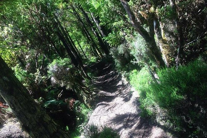 Walking Trail Chambre Rock - Traveler Reviews