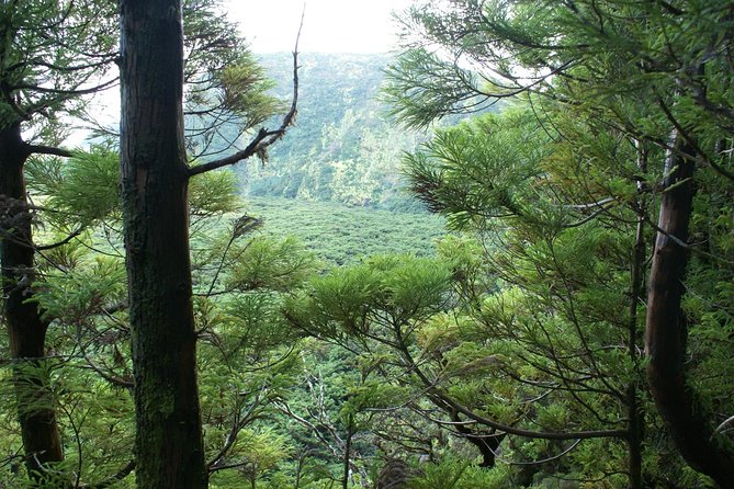 Walking Trails of Terceira - Common Questions