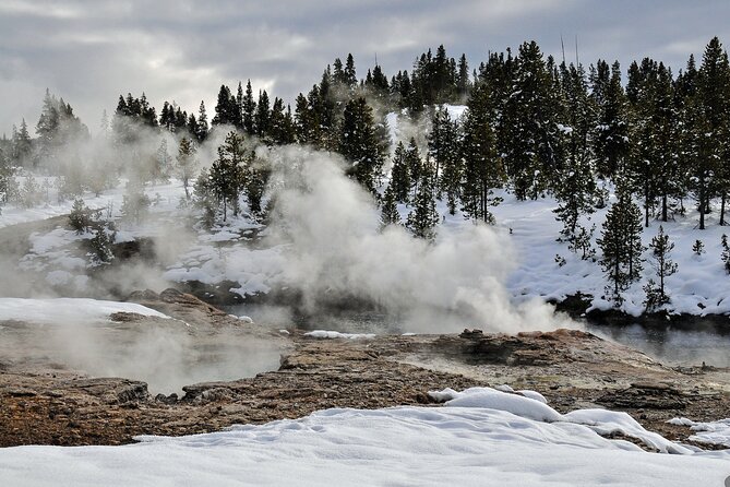 Yellowstone & Grand Teton National Parks Private Winter Tour 5-Day - Pricing and Terms