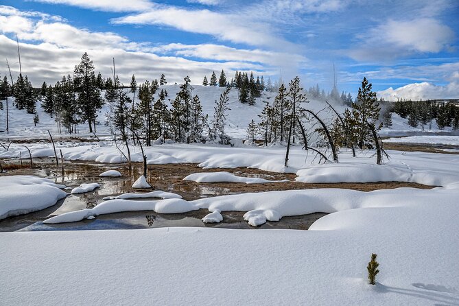 Yellowstone, Grand Teton & Utah Mighty 5 Winter Tour: Small Group 9-Day Tour - Winter Activities and Sightseeing