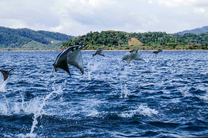 6-Day Osa Jungle Adventure Tour in Osa, Drake and Corcovado