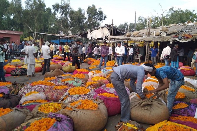 6-Day Private Tour of the Golden Triangle - Good To Know