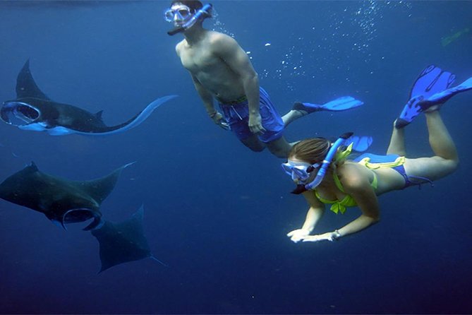 6 Days 5 Nights Bali & Nusa Penida Tour Package - Good To Know