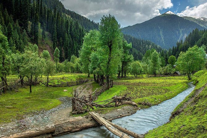 6 Days and 5 Nights Private Tour of Kashmir - Tour Highlights