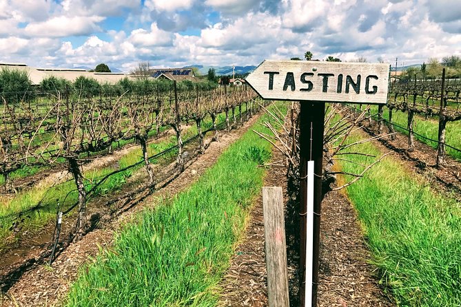 6-Hour Customized Private LIVERMORE Valley Wine Tour From San Francisco Bay Area