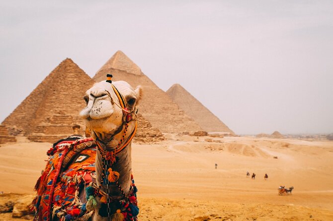 6 Hour Private Tour in Giza Pyramids, Citadel and Coptic Cairo