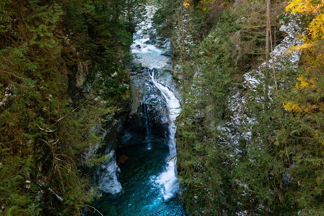 6-Hour Private Tour in Lynn Canyon and Deep Cove With Pickup