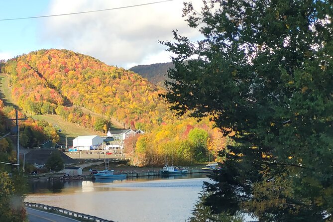 6 Hours Mini Cabot Trail Tour