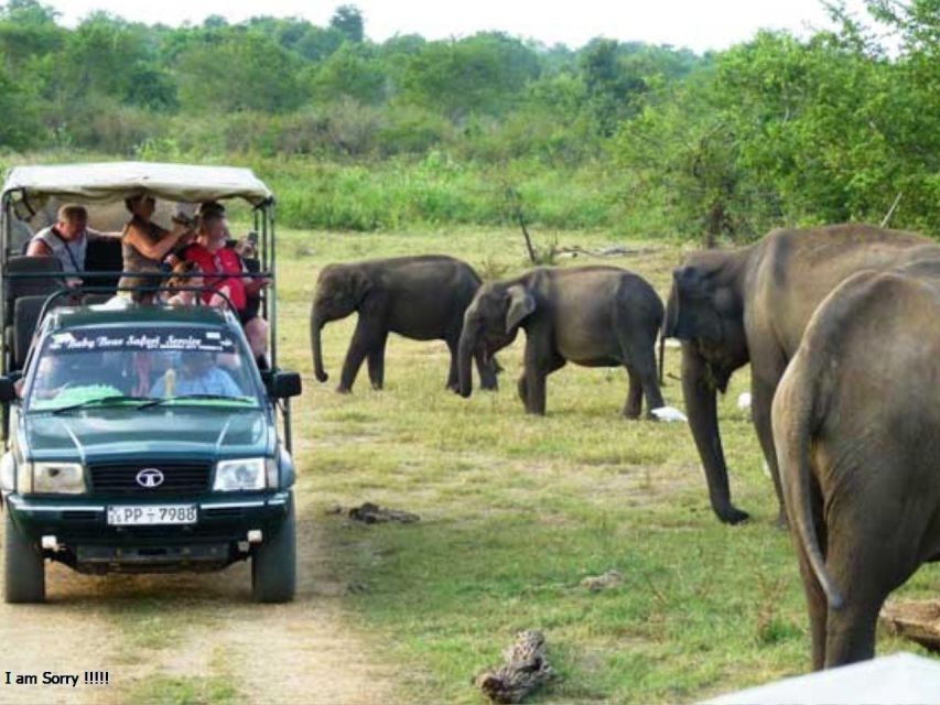 6 Nights 7 Days-Muslim Halal Tour With Safari at Udawalawe - Good To Know