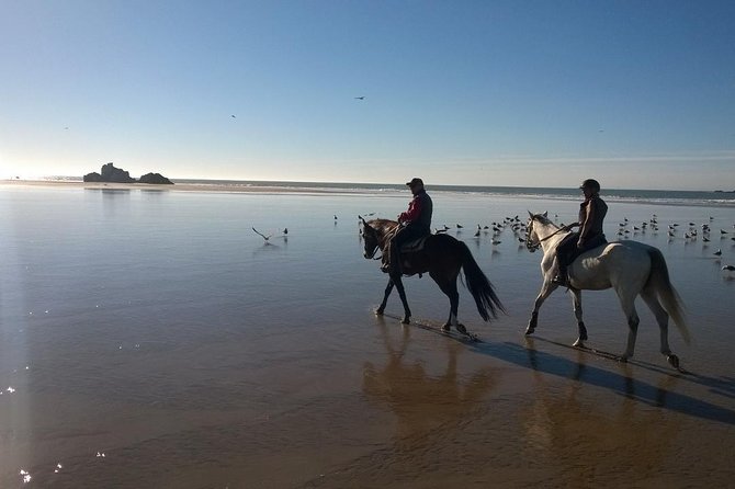 1 Day Horseback Ride With Lunch - The Sum Up