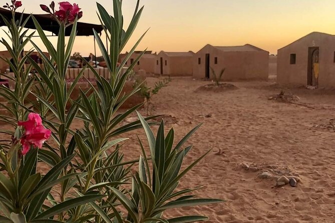2 Day Desert Tour From Mhamid - What to Pack