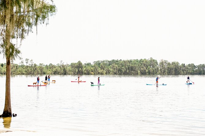 2-Hour Stand up Paddleboard Rental From Lake Buena Vista Area - Safety Guidelines