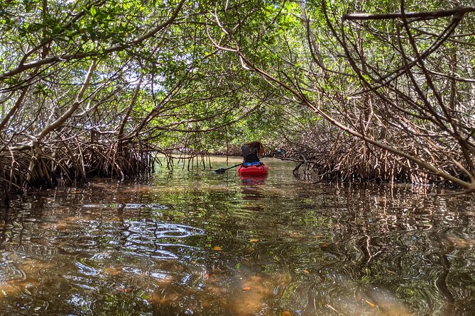 2 Hour Tandem Kayak Tour (Price for 2 People) - Common Questions