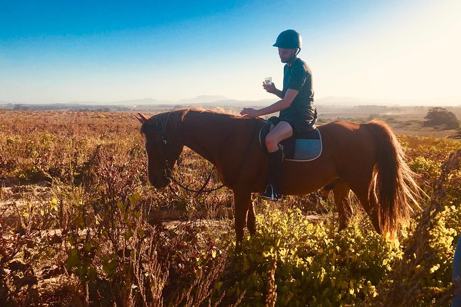 2 Hour Vineyard Trail Ride - Exploring Farmland Trails and Vineyards