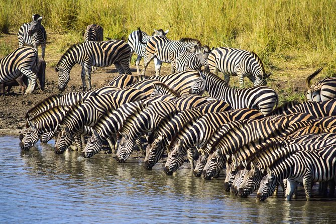 3-Day Tour of Kruger National Park From Skukuza Airport - Common Questions