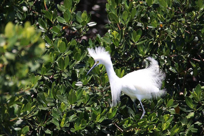 3-Hour St Pete Private Water Adventure Tour for 6 Guests - The Sum Up