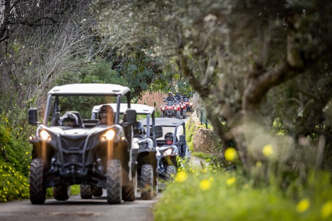 3-Hour Tour by Buggy or Quad in the Algarve - Group Size and Accessibility