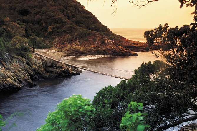 5 Day Cape to Addo Safari - Garden Route Small Group Tour - The Sum Up