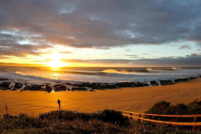 5 Day Garden Route Tour - Port Elizabeth to Cape Town - The Sum Up