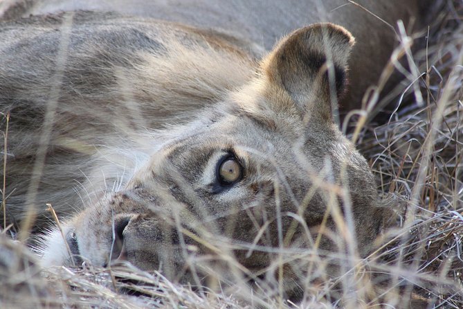 5 Day Kruger National Park Tour - The Sum Up
