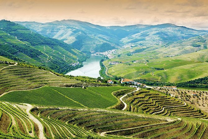6-Day North Portugal Tour: Porto, Braga, Fátima, Coimbra, Guimaraes, Aveiro and Batalha, From Lisbon - Itinerary