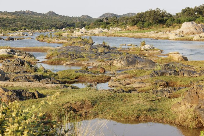 6-Day Private South to North Kruger National Park Tour - Common Questions
