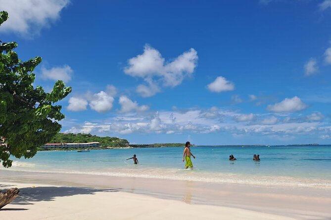 6-Hours Guided Stingray Tour in the East Coast of Antigua - Common Questions