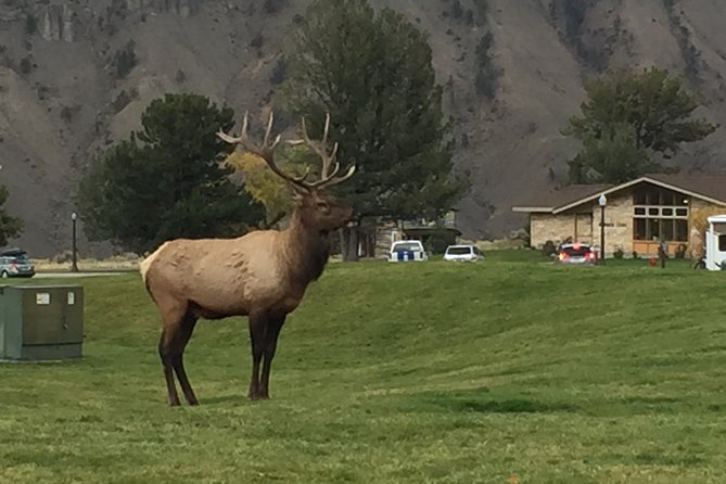 7-Day Private Bryce, Yellowstone, Grand Tetons Tour From Vegas - Directions