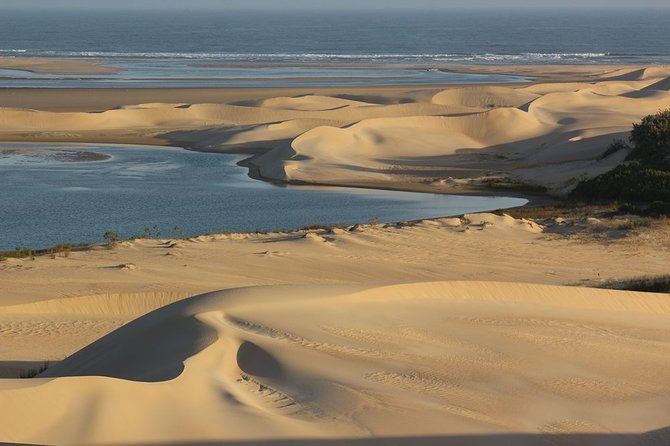 Addo Elephant National Park and Sunset River Cruise - FD04 - Customer Reviews and Testimonials
