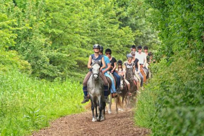 Agadir 2-Hour Private Horse Riding Experience With Pickup - Meeting and Pickup Information