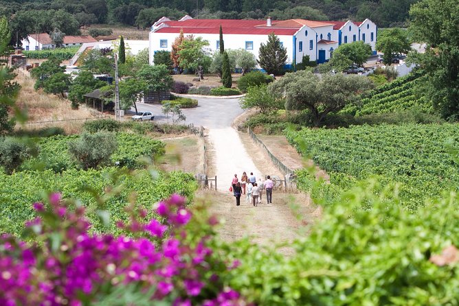Alentejo Wine Tour From Évora - Wine Tasting in a Beautiful Location