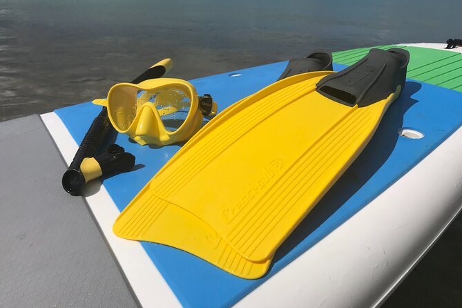 All Day Snorkeling Gear Rental in Puerto Rico - Common Questions