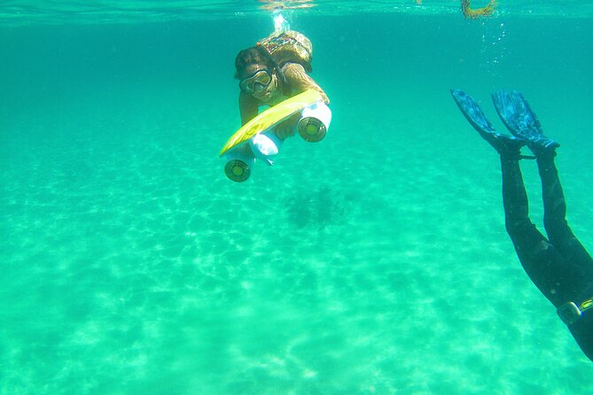 Aquatic Boat Adventure on the Arrábida Coast  - Setubal District - Discover the Flora and Fauna